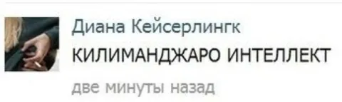 Килиманджаро интеллект