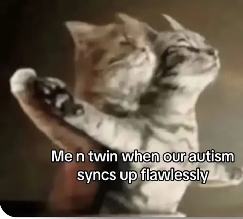 Cats Synchronize Perfectly