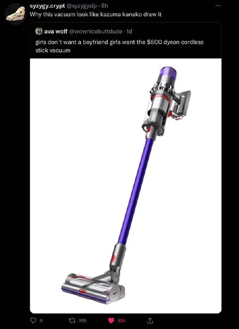 Girls Want a Dyson Vacuum