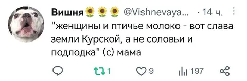 Слава земли Курской