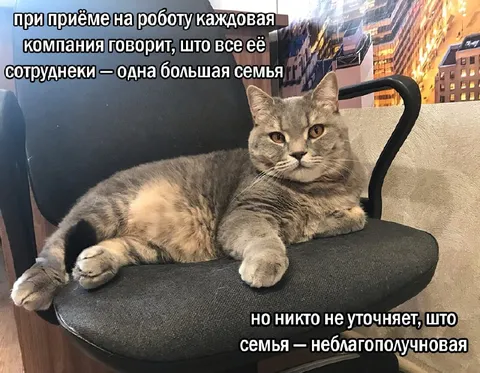 Семья неблагополучная