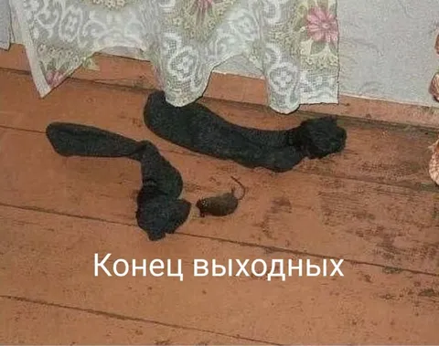 Конец выходных