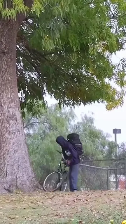 People Falling in Every Possible Way