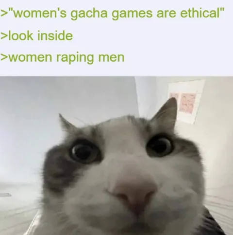Women’s Gacha Games Look Inside