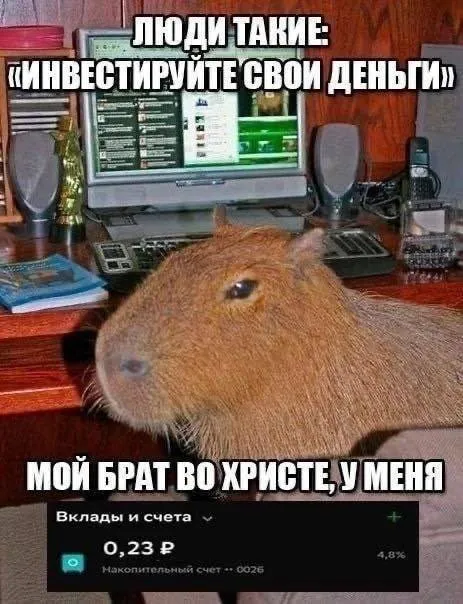 Инвестируйте свои деньги