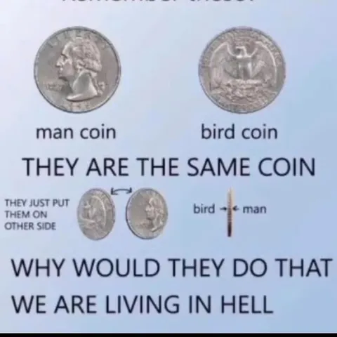 Man Coin Bird Coin