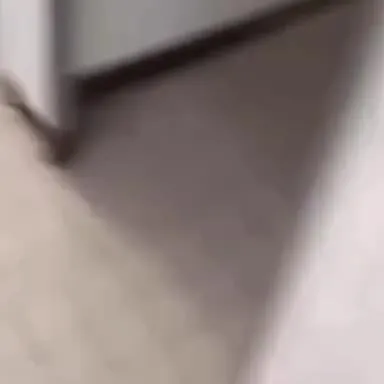 Неожиданный туалетный скример