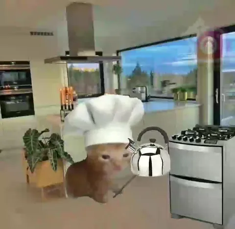 Eu só tomo café
