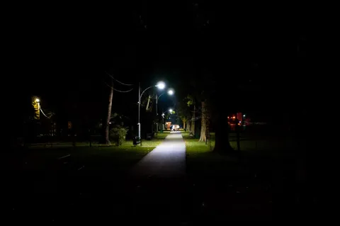 Ночные вайбы в парке