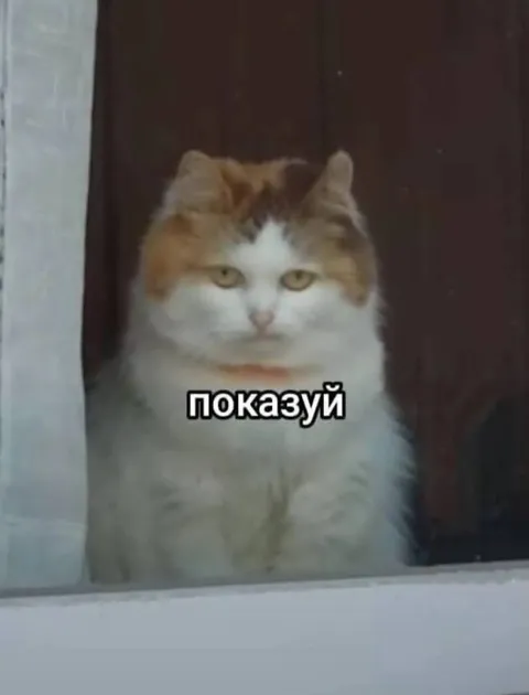 Показывай, что умеешь