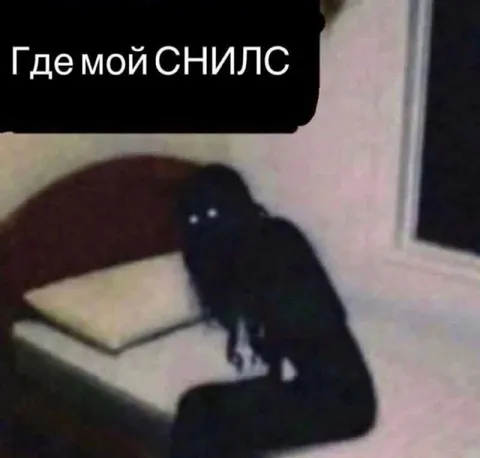 Где мой СНИЛС