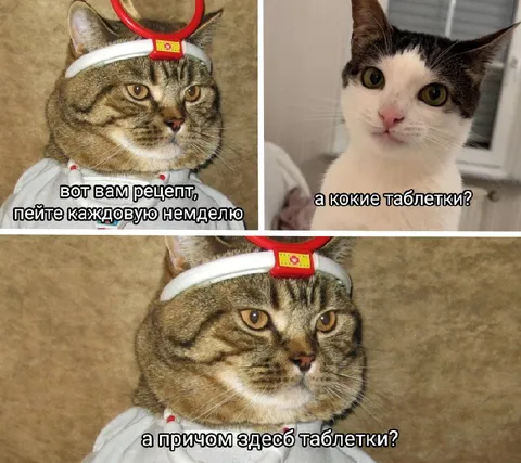 Кот-врач и таблетки