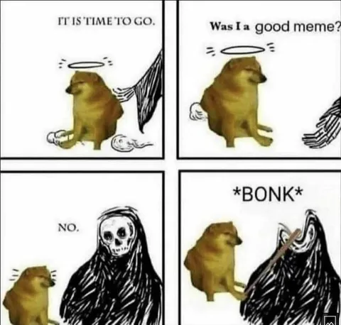 Doge Meets the Grim Reaper