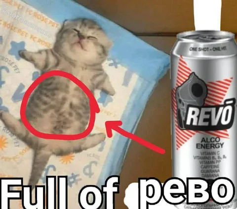 Full of peво