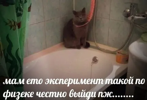 Эксперимент по физике в ванной