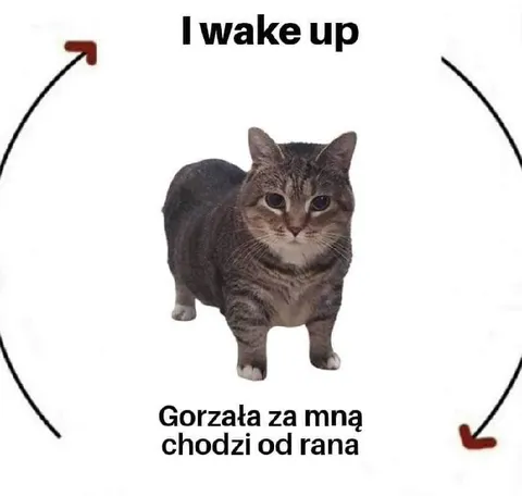 Gorzala chodzi od rana