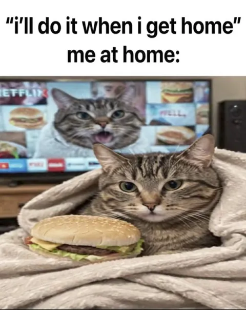 Cat Waits for Burger at Home