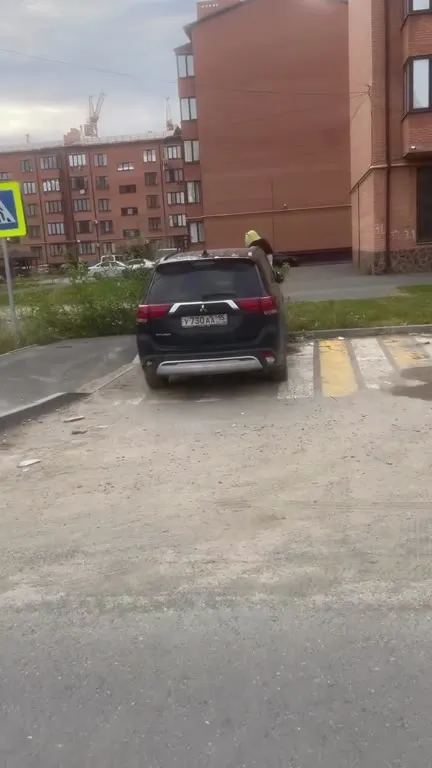 Погоня за ослом у табака
