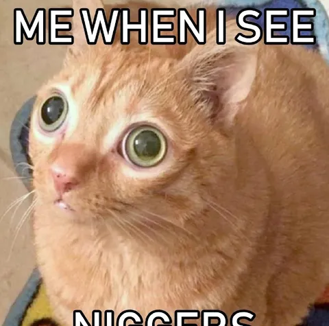 Me When I See Nuggers
