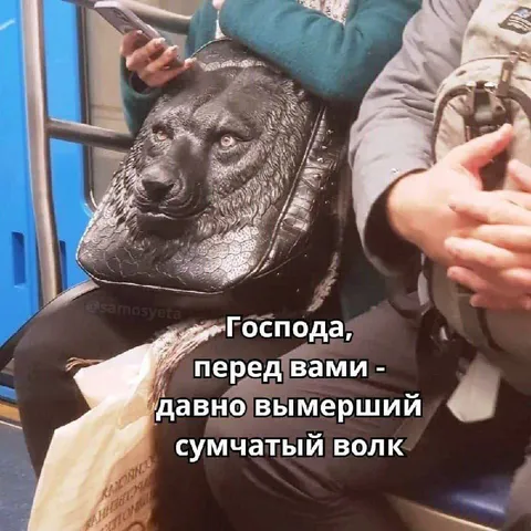 Давно вымерший сумчатый волк