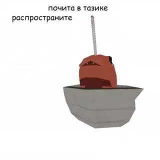 Почита в тазике