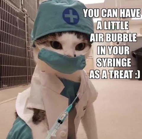 Cat Doctor Offers Air Bubble