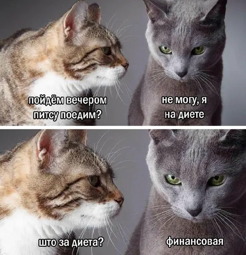 Коты и финансовая диета