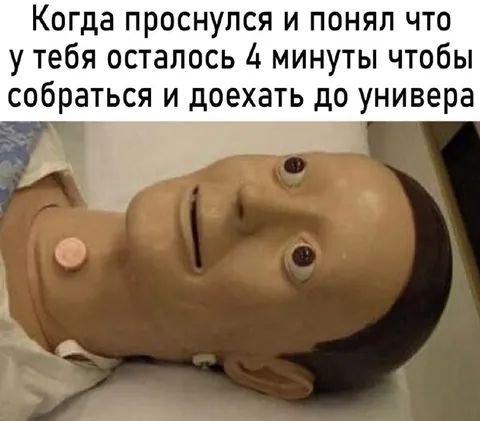 Четыре минуты до универа