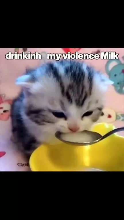 Violence Milk Makes Me Dangerous