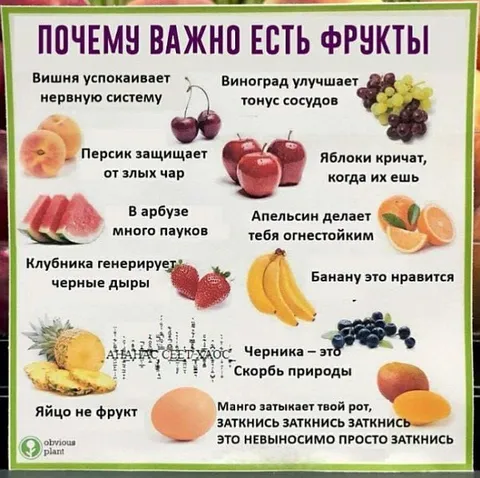 Почему важно есть фрукты