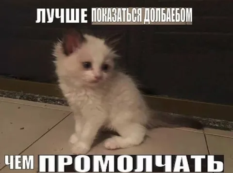 Лучше показаться долбоёбом