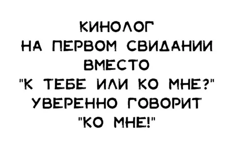 Кинолог на первом свидании
