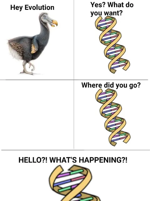 Dodo Calls Evolution