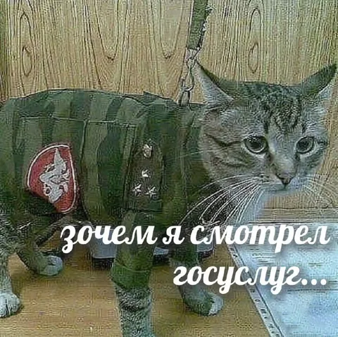 Зачем я смотрел госслуж...