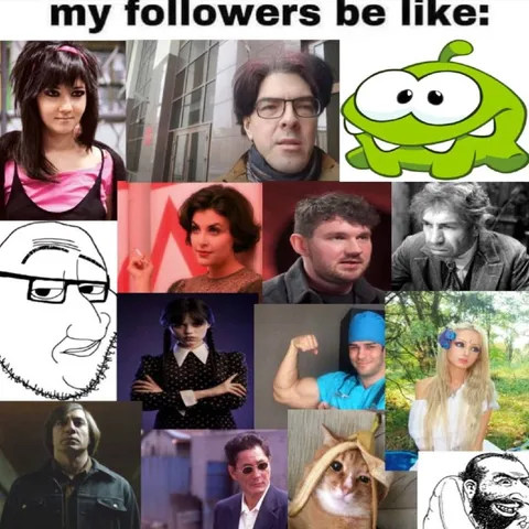 My Followers Be Like