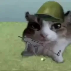 Кот-солдат взрывается