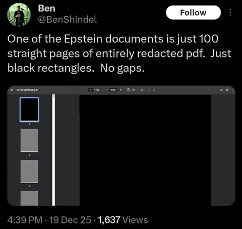 Epstein Document Redaction Joke