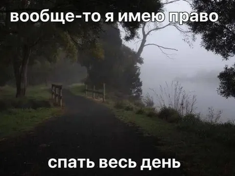 Имею право спать весь день