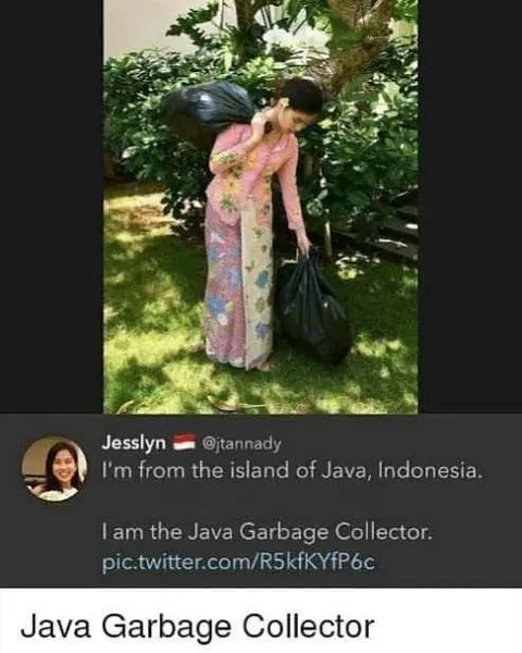 Java Garbage Collector