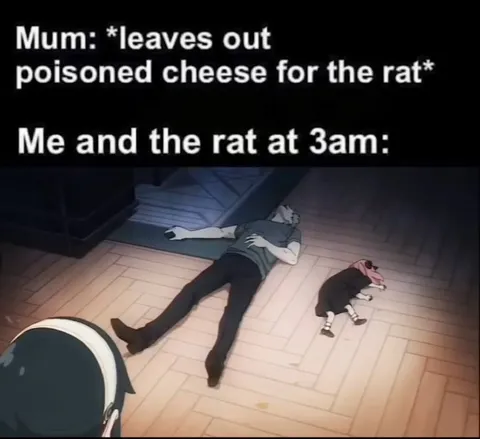 Me and the Rat at 3 AM