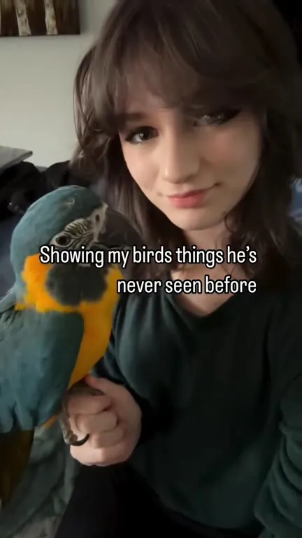 Parrot Discovers 2 Girls 1 Cup