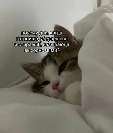 Почему выходные называют выходными