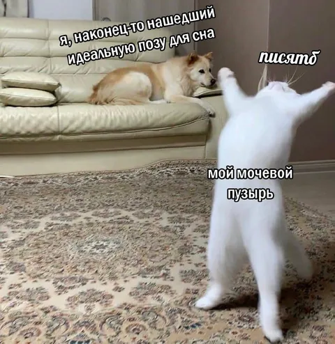 Идеальная поза для сна