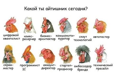 Какой ты айтишник сегодня