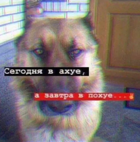 Сегодня в ахуе, завтра в похуе