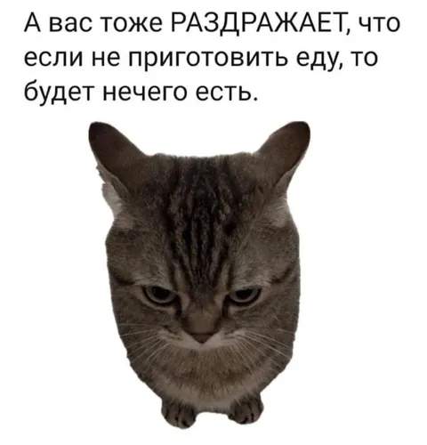 Раздражает, что нечего есть