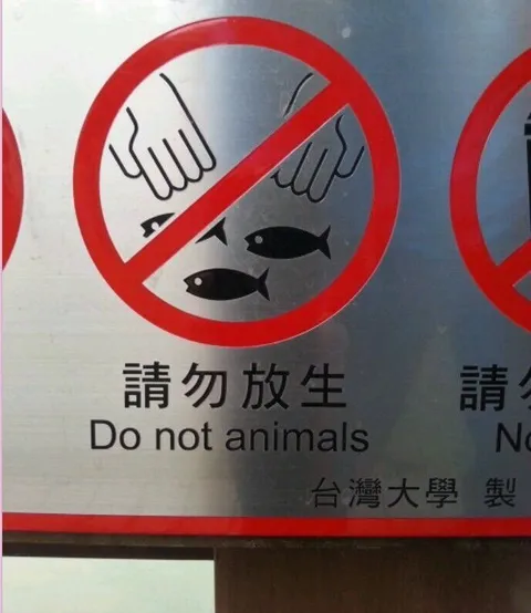 請勿放生的錯誤英文