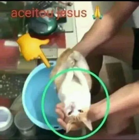 Aceitou Jesus no banho