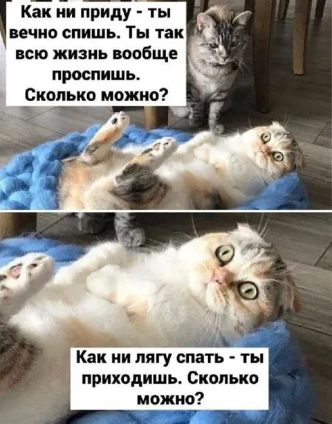 Как ни приду — ты спишь