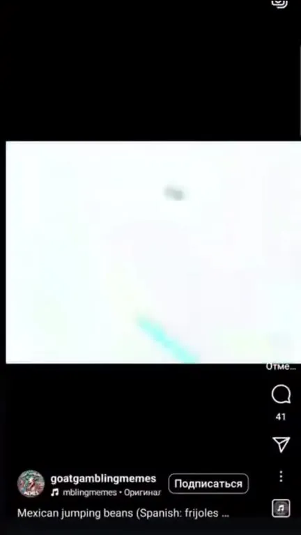 Check Your Balls Bird